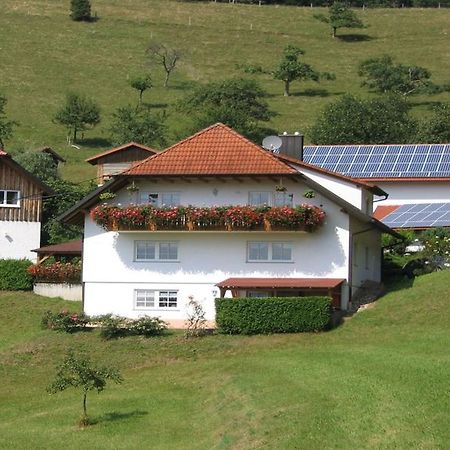 Ferienwohnung Burgblick Seelbach  Esterno foto