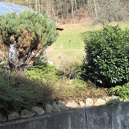 Ferienwohnung Burgblick Seelbach  Esterno foto