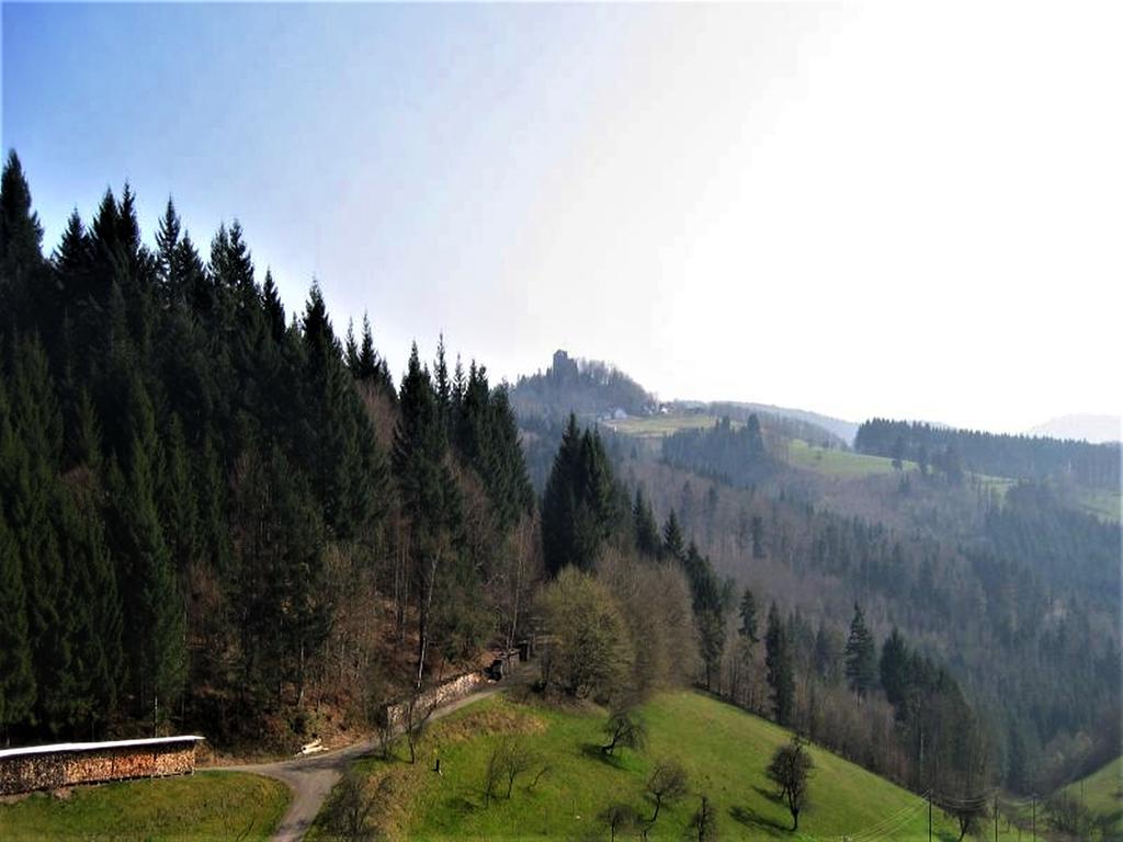 Ferienwohnung Burgblick Seelbach  Esterno foto