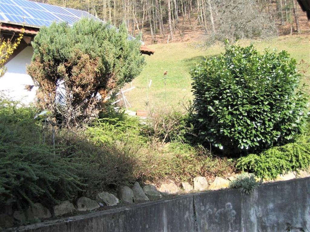 Ferienwohnung Burgblick Seelbach  Esterno foto